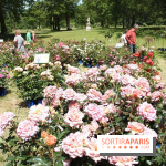 Journées de la Rose 2014