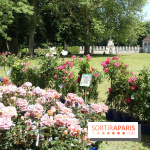 Journées de la Rose 2014