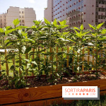 FRAME, la brasserie franco-californienne