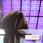 Grande Galerie de l'Evolution