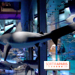 Grande Galerie de l'Evolution