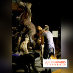 Grande Galerie de l'Evolution - taxidermie