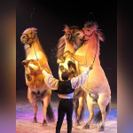 Cirque Pinder : Sandro Montez