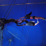 Cirque Pinder : Flying Black Street