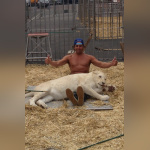 Cirque Pinder : Frédéric Edelstein