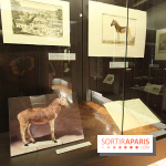 Les animaux célèbres de la Ménagerie, l'exposition