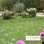 FIAC 2014 Jardin des Plantes