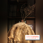 FIAC 2014 Jardin des Plantes