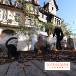 Halloween au Parc Astérix 2014