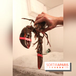 Les Pinces à Paris, le restaurant de Homard