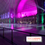 Le Grand Palais des Glaces 2014
