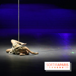 Festival du Cirque de Demain 2015