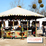 Foire de Chatou 2015