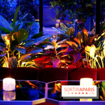 Le Très Particulier - la verrière