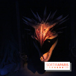 Exposition Harry Potter à Paris, Cité du Cinéma