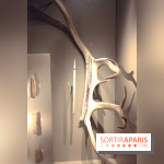 La Grotte de Lascaux à Paris !