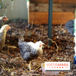 Ground Control 2015 à Paris