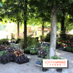 Jardins, jardin 2015 aux Tuileries