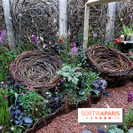 Jardins, jardin 2015 aux Tuileries