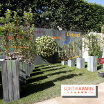 Jardins, jardin 2015 aux Tuileries