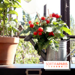 Le potager d'Aucy 2015 à la Serre de la Rotonde