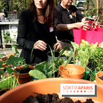 Le potager d'Aucy 2015 à la Serre de la Rotonde