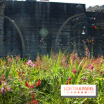 Petite Fleur Folie, le jardin éphémère sur les Berges