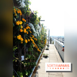 Le Paris sous les fraises des Galeries Lafayette