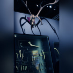 Préhistoire(s), l'enquête