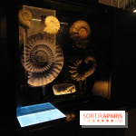 Autour des dinosaures au Palais de la Découverte