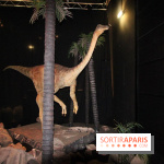Autour des dinosaures au Palais de la Découverte