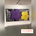 Andy Warhol au MAMVP