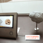 Le nouveau Musée de l'Homme