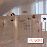 Le nouveau Musée de l'Homme 