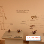 Le nouveau Musée de l'Homme 