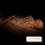 Le nouveau Musée de l'Homme 