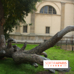 FIAC 2015, le hors-les-murs au Jardin des Plantes