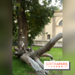 FIAC 2015, le hors-les-murs au Jardin des Plantes