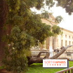 FIAC 2015, le hors-les-murs au Jardin des Plantes