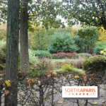 Rodin, le laboratoire de la création au Musée Rodin