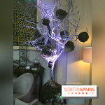 Noël au Trianon palace avec Deyrolle