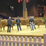 Salon de l'Agriculture 2012
