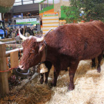 Salon de l'Agriculture 2012