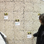 Odyssée Végétale 3D, Salon de l'Agriculture 2012