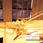 Patrick Roger, le chocolat dans tous ses états