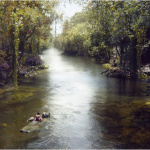 Le livre de la jungle 