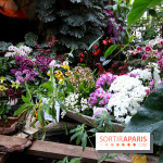 Mille & une orchidées au Jardin des Plantes, les photos