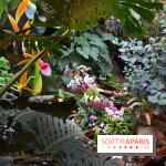 Mille & une orchidées au Jardin des Plantes, les photos