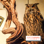 Comptoir General "Le Bon Voyage"