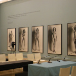 Helmut Newton | Les Grands Nus